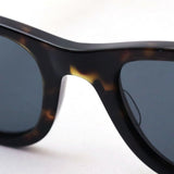 Gafas de sol Ray-Ban Ray-Ban RB2248 902R5 Caribe