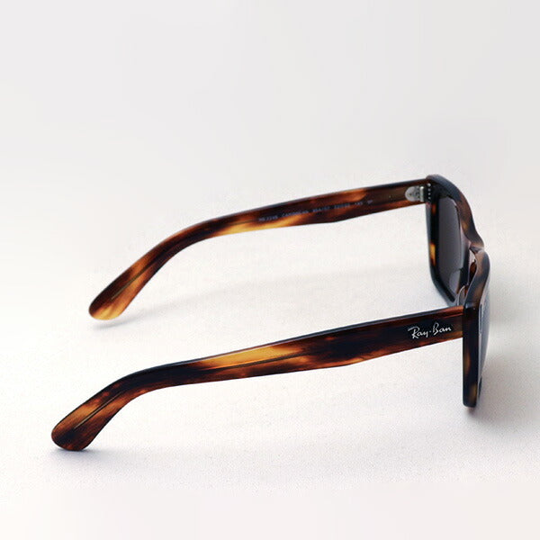 Gafas de sol polarizadas de Ray-Ban Ray-Ban RB2248 95457 Caribe