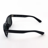 Ray-Ban偏光太阳镜Ray-Ban RB2283F 90158 Bank先生