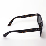 Ray-Ban Sunglasses Ray-Ban RB2283F 90231 Mr. Bank