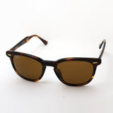 レイバン サングラス Ray-Ban RB2298F 95433 ホークアイ