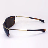 レイバン 偏光サングラス Ray-Ban RB2319 95457 オリンピアン ワン