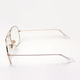 Ray-Ban Dimming Sunglasses Ray-Ban RB3025 0015F EVOLVE EVERGLASSES Everglass