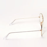 Ray-Ban Dimming Sunglasses Ray-Ban RB3025 0015F EVOLVE EVERGLASSES Everglass