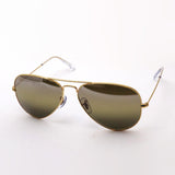 レイバン 偏光サングラス Ray-Ban RB3025 9196G5