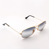 Gafas de sol Ray-Ban Ray-Ban RB3362 001GF Cockpit