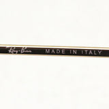 射线棕色昏暗太阳镜Ray-Ban RB3447 9196BL Everglasses Everglass