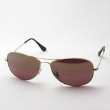 Ray-Ban Polarized Sunglasses Ray-Ban RB3562 0016B Cromance Chromance