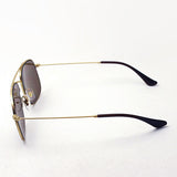 Ray-Ban Polarized Sunglasses Ray-Ban RB3595 901383