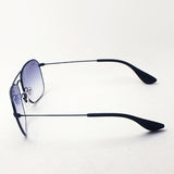 レイバン サングラス Ray-Ban RB3610 913919