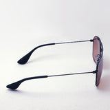 レイバン サングラス Ray-Ban RB3610 91396U