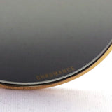 Ray-Ban Polarized Sunglasses Ray-Ban RB3637 9196G3