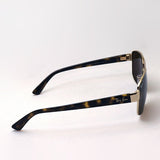 Ray-Ban Polarized Sunglasses Ray-Ban RB3663 00157 60