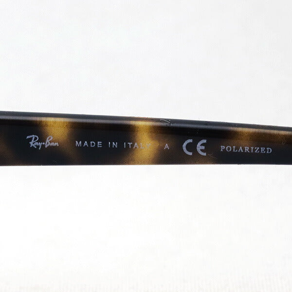 Ray-Ban Polarized Sunglasses Ray-Ban RB3663 00157 60