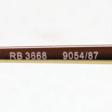 Ray-Ban Sunglasses Ray-Ban RB3668 905487