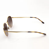 Gafas de sol Ray-Ban Ray-Ban RB3681 00113