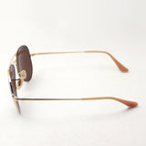 Ray-Ban Polarized Sunglasses Ray-Ban RB3689 906447