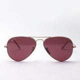 Ray-Ban Polarized Sunglasses Ray-Ban RB3689 9064AF