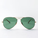 Ray-Ban Polarized Sunglasses Ray-Ban RB3689 9064O9