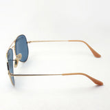 Ray-Ban Polarized Sunglasses Ray-Ban RB3689 9064S2