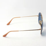 Ray-Ban Polarized Sunglasses Ray-Ban RB3689 9064S2