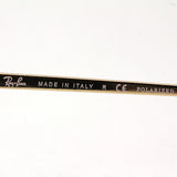 Ray-Ban Polarized Sunglasses Ray-Ban RB3689 9064S2