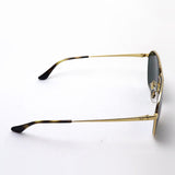 Ray-Ban Sunglasses Ray-Ban RB3692D 00171