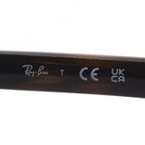 Gafas de sol Ray-Ban Ray-Ban RB3710 00113 Bonnie