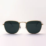 Gafas de sol Ray-Ban Ray-Ban RB3857 919631 Frank