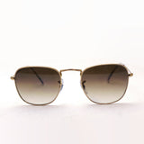 Gafas de sol Ray-Ban Ray-Ban RB3857 919651 Frank