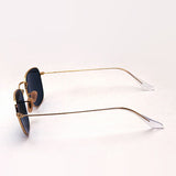 Gafas de sol Ray-Ban Ray-Ban RB3857 9196R5 Frank