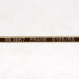 Gafas de sol Ray-Ban Ray-Ban RB3857 9196R5 Frank