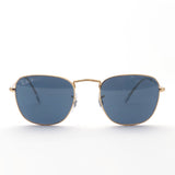 Ray-Ban Polarized Sunglasses Ray-Ban RB3857 9196S2 Frank