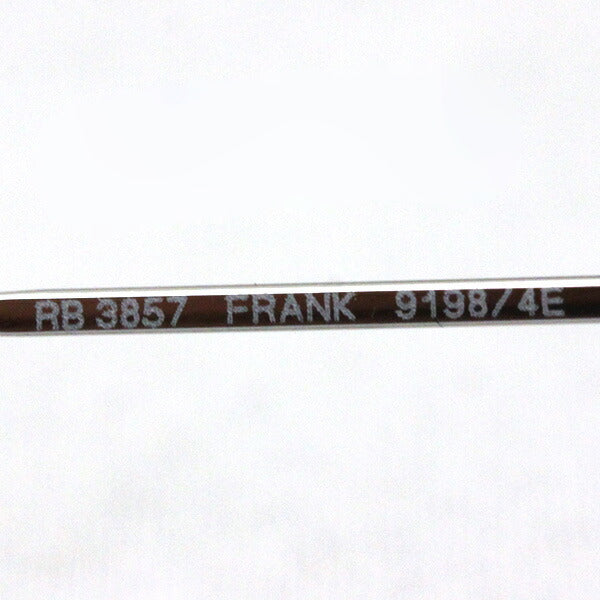Ray-Ban Sunglasses Ray-Ban RB3857 91984E Frank