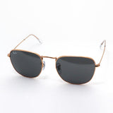 レイバン サングラス Ray-Ban RB3857 9202B1 フランク