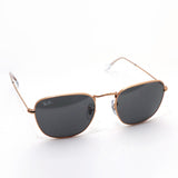 レイバン サングラス Ray-Ban RB3857 9202B1 フランク