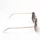 レイバン サングラス Ray-Ban RB3857 9202B1 フランク