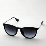 Ray-Ban Sunglasses Ray-Ban RB4171F 6228G Erica