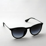 Ray-Ban Sunglasses Ray-Ban RB4171F 6228G Erica