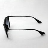 Ray-Ban Sunglasses Ray-Ban RB4171F 6228G Erica