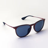 Ray-Ban Sunglasses Ray-Ban RB4171F 647280 Erica