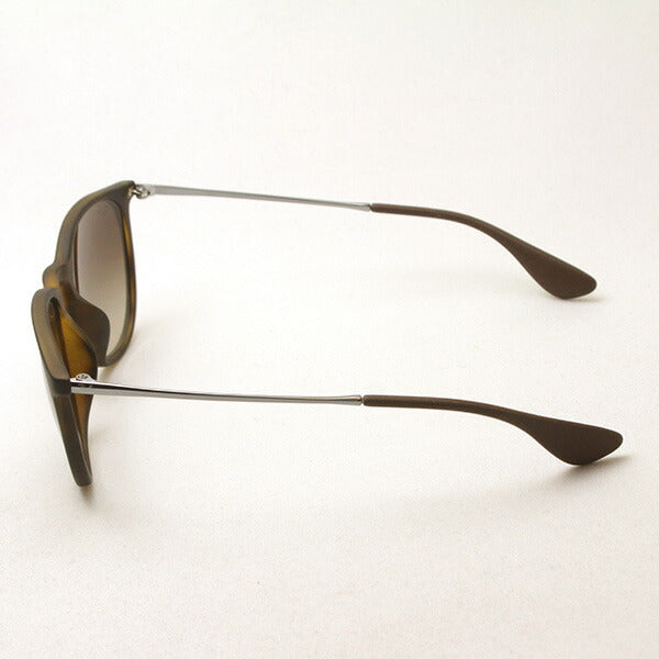 Ray-Ban Sunglasses Ray-Ban RB4171F 86513 Erica