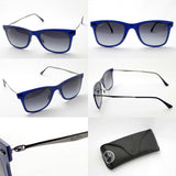 射线棕色太阳镜雷 - 河RB4210 8958G