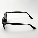 Gafas de sol Ray-Ban Ray-Ban RB4258F 60171