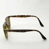 Gafas de sol Ray-Ban Ray-Ban RB4259F 71073