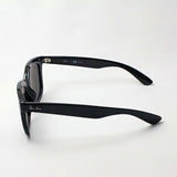 Ray-Ban Polarized Sunglasses Ray-Ban RB4262D 6019A