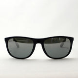 レイバン サングラス Ray-Ban RB4291F 619788