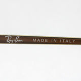 Ray-Ban Sunglasses Ray-Ban RB4292N 60111 Blaze