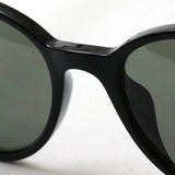 Ray-Ban Polarized Sunglasses Ray-Ban RB4305F 6019A