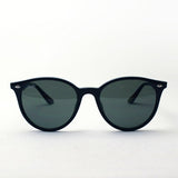 Ray-Ban Polarized Sunglasses Ray-Ban RB4305F 6019A